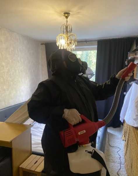 Обробка від тарганів, професійна дезинфекція дезинсекція дератизація