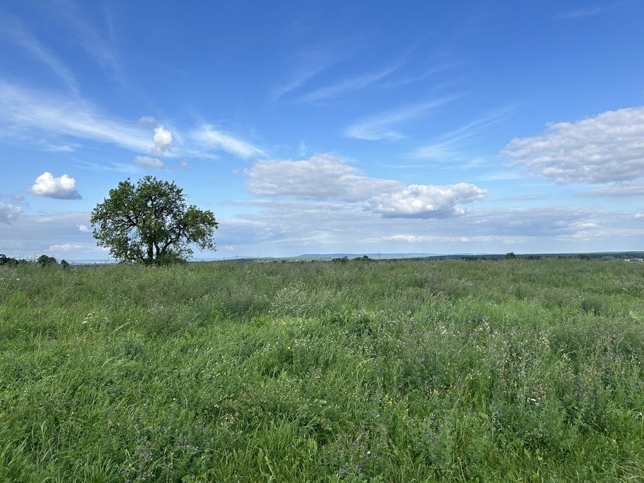 Działka budowlana Skrzelczyce