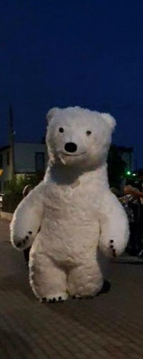 Biały miś żywa maskotka