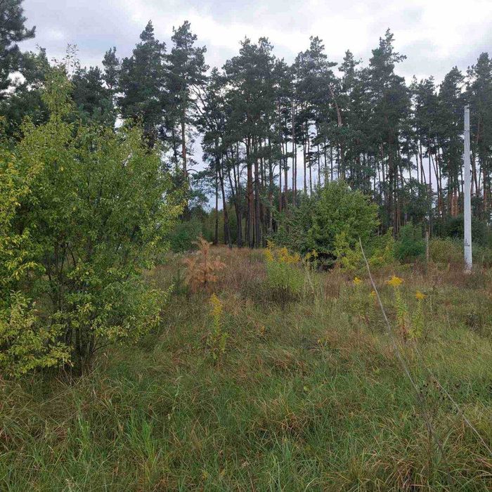 Елітна ділянка в с. Вишпіль для будівництва будинку або комплексу