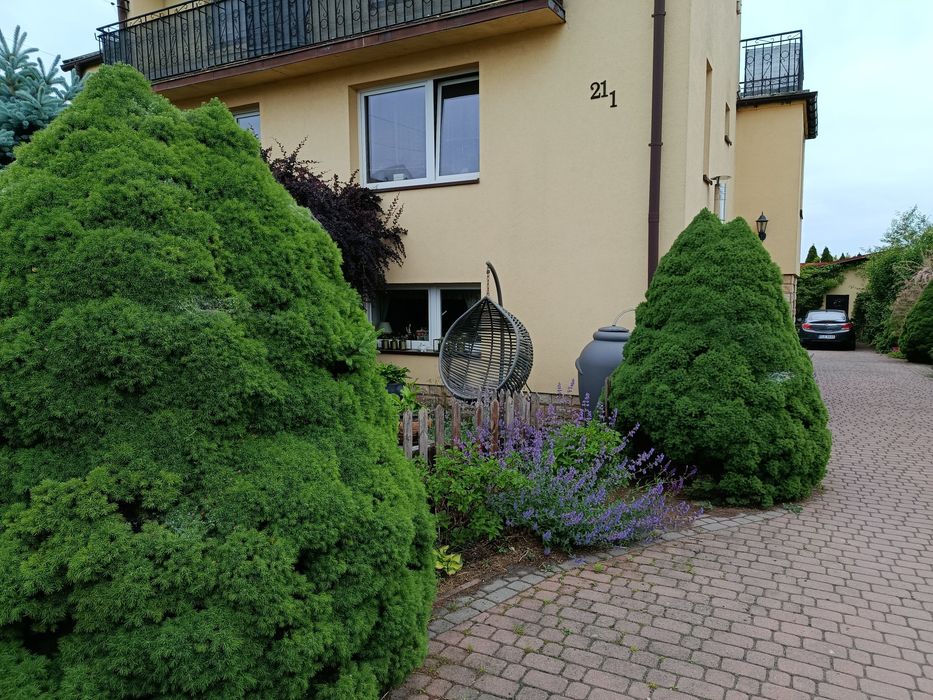 Mieszkanie w domu dwurodzinnym. Ul. Wiejska, Włoszczowa.