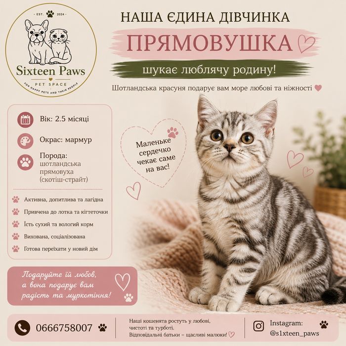 Шотладська дівчинка шукає родину