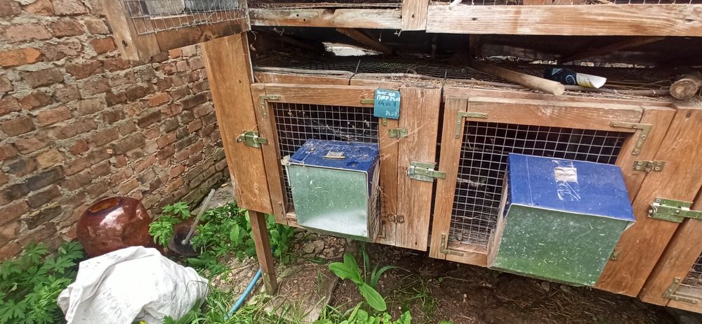 Автономна клітка для кролів на 5 відділень з поїлками та кормушками