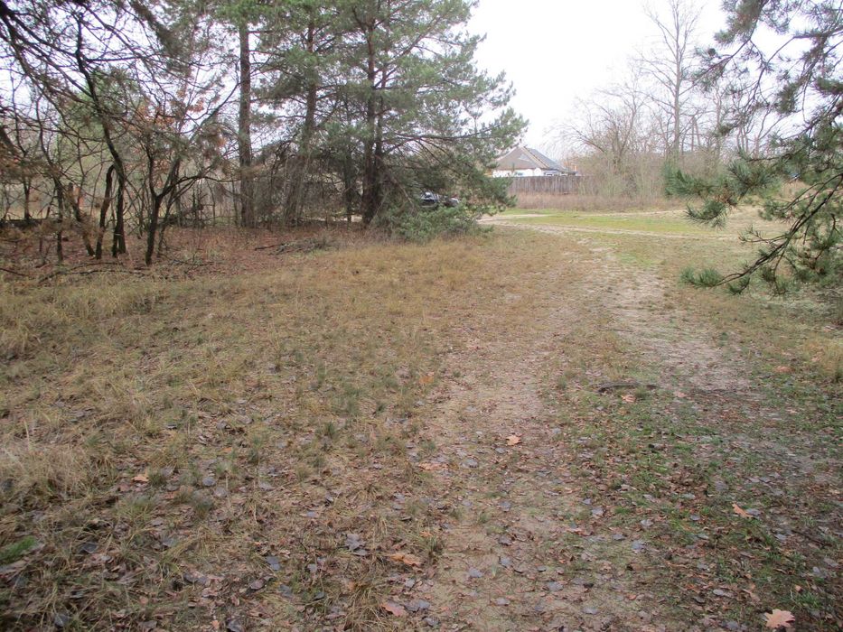 Продаж земельної ділянки 22,47 сот. Київська обл., с.Жукин  9100$