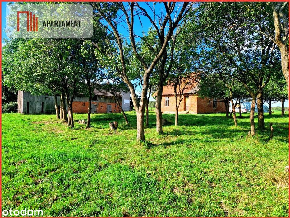 Tylko u nas! Siedlisko ze starymi zabudowaniami.