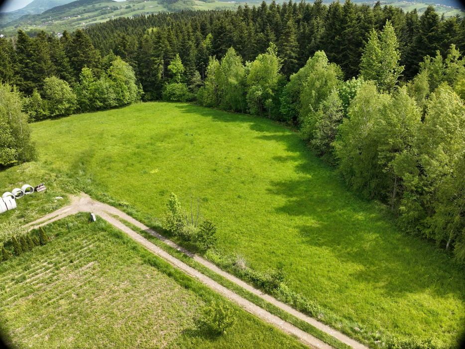 Działka rolna Stara Wieś o powierzchni 0.5769 ha - Widok 2