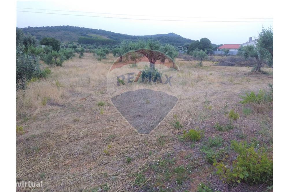 Terreno  para venda — Chãos, Santarém