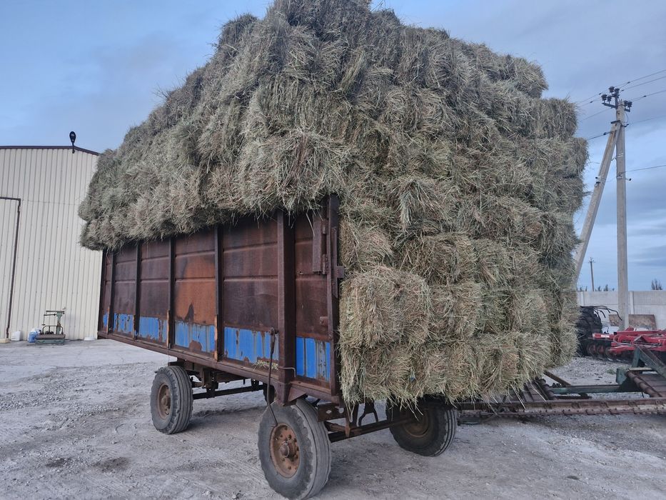 Продам сіно лугове, і люцерни