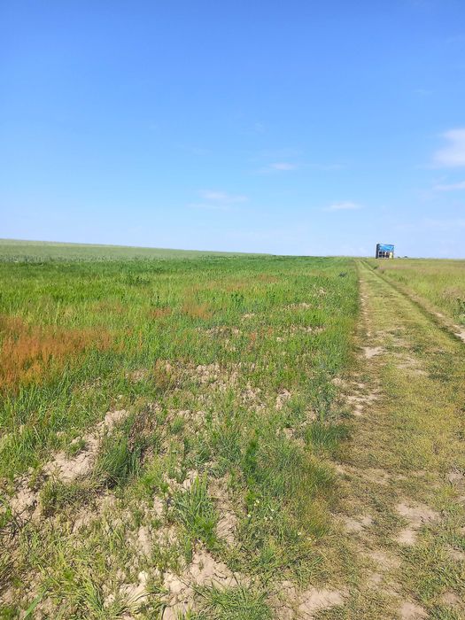 Działka nad jeziorem