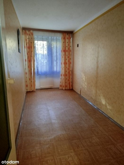 Zdjęcie 3