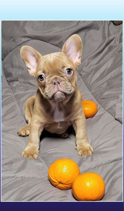 Шикарный мини мальчишка! Лучший!