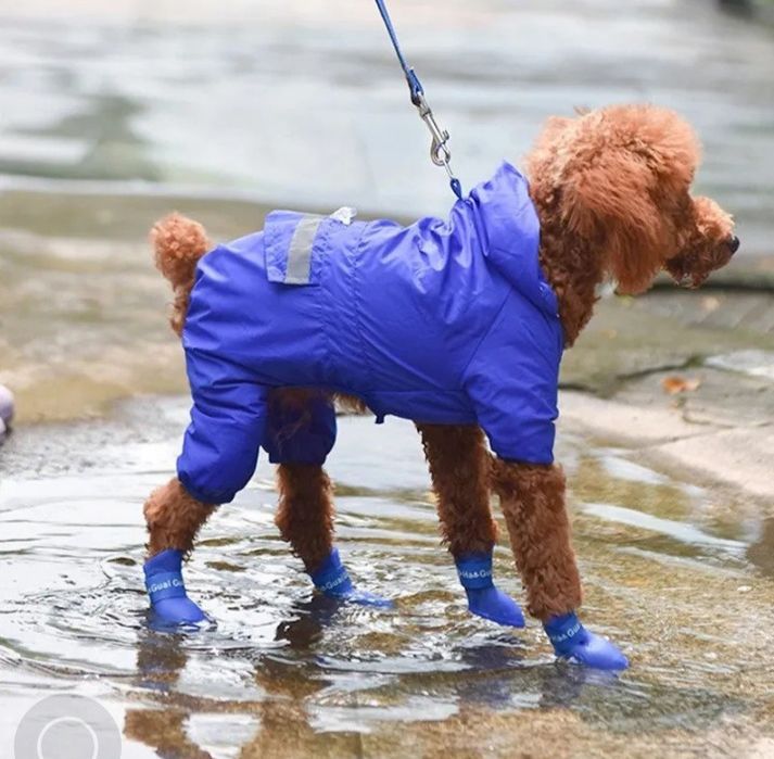 Обувь для собаки новая