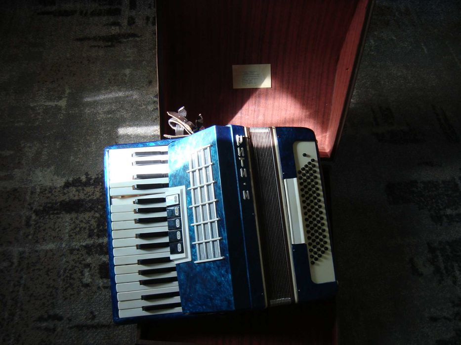 Аккордеон Ритм с чемоданом