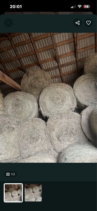 Siano bele 120x120 dla koni owiec bydla z transportem