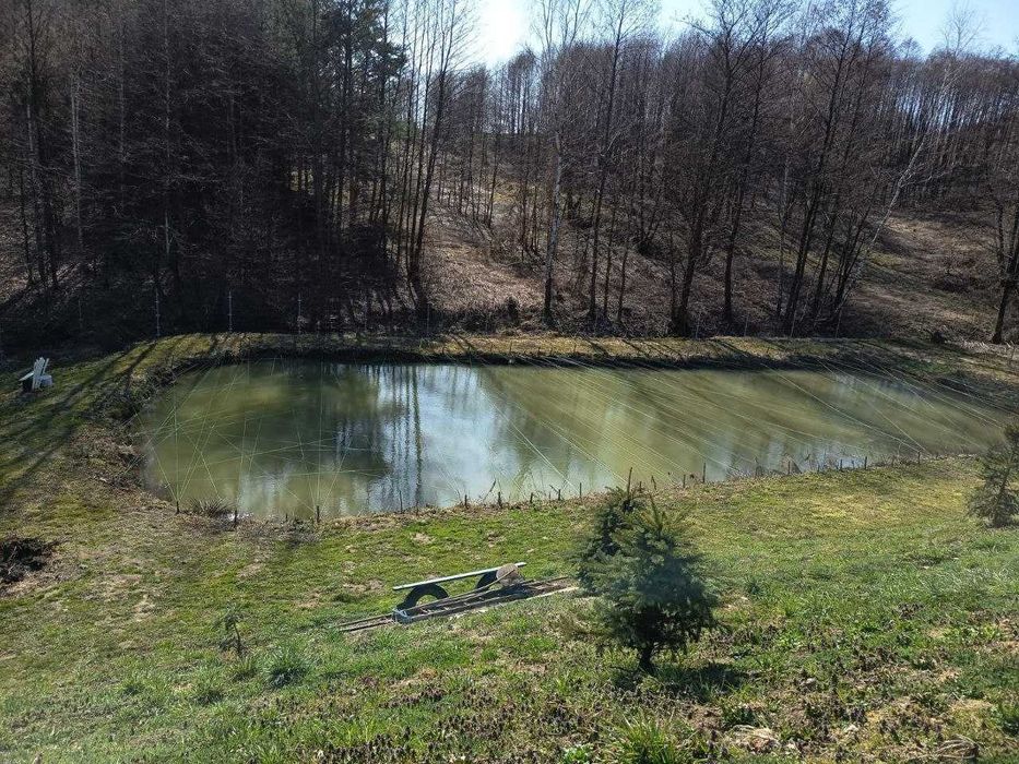 Dom po remoncie Stępina, 130m2, działka 49 arów !