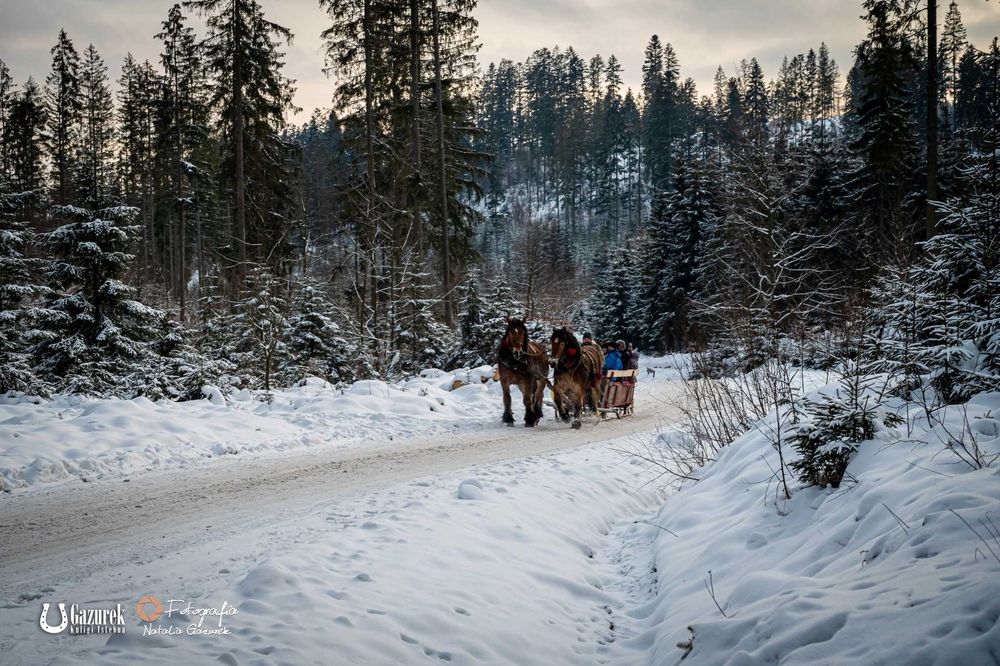 Kuligi w Istebnej Adam Gazurek