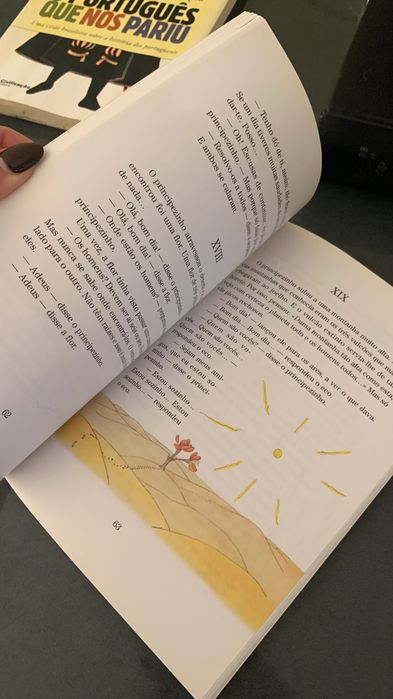Livro “O principezinho” de Antoine de Saint-Exupéry