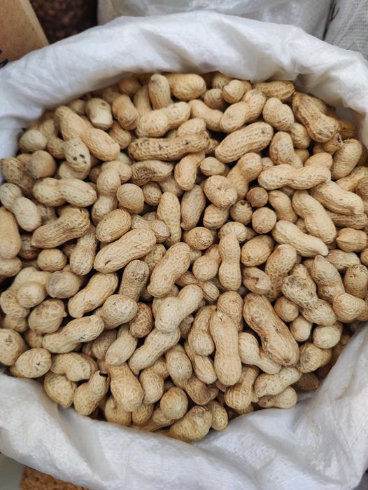 Продається  арахіс