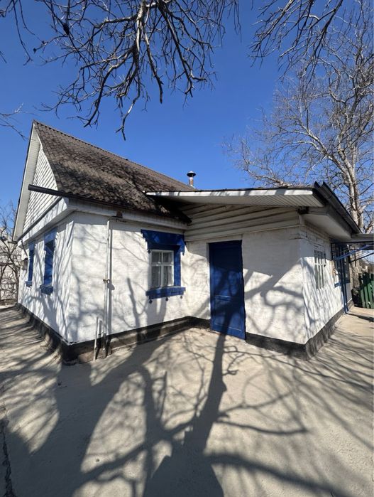 Продаж будинку в центрі села Пилипча - 45 соток землі