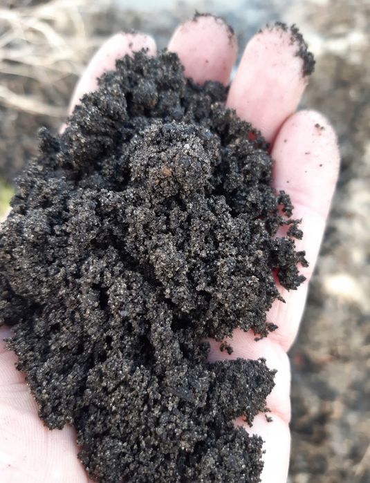 Ziemia przesiewana ogrodowa