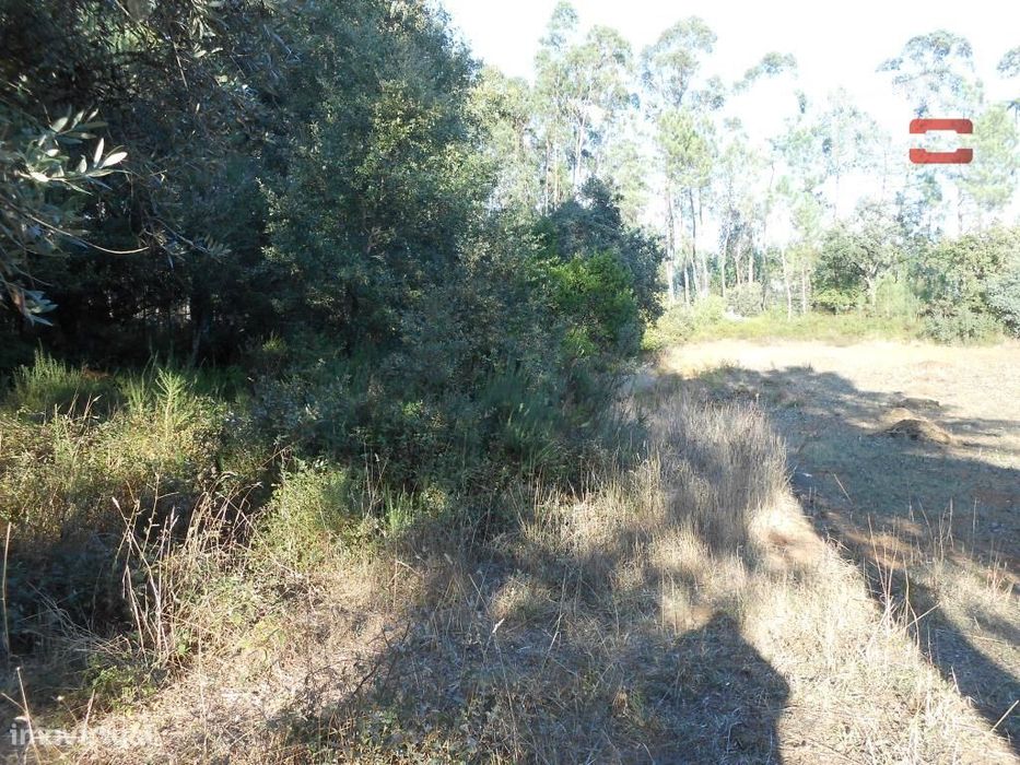 Terreno Rustico Com Area De 1950 M2 Fragosas Fátima