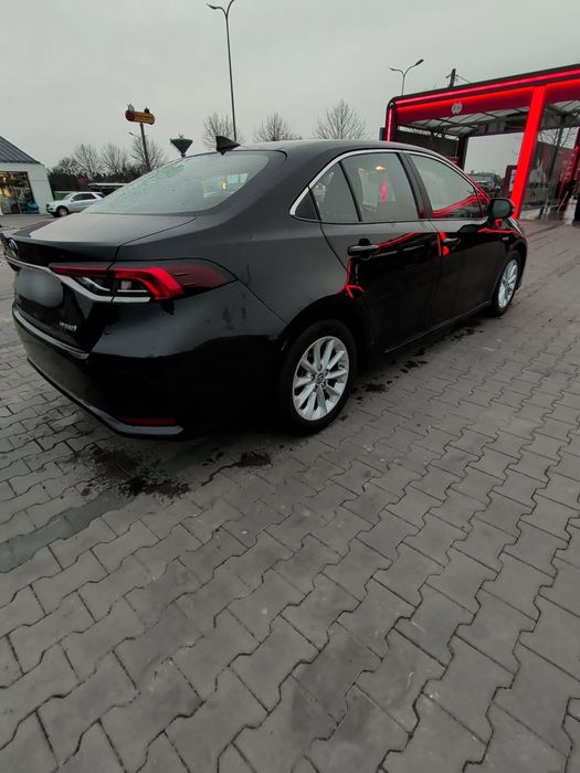 Wynajem wypożyczalnia aut samochodów