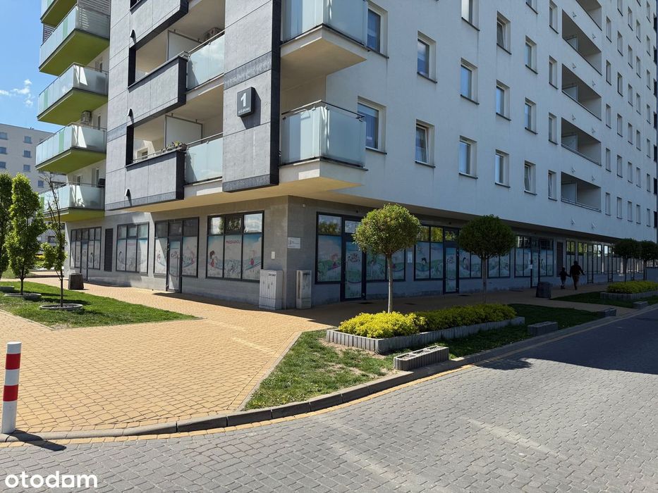 Lokale do wynajęcia przy głównej ulicy