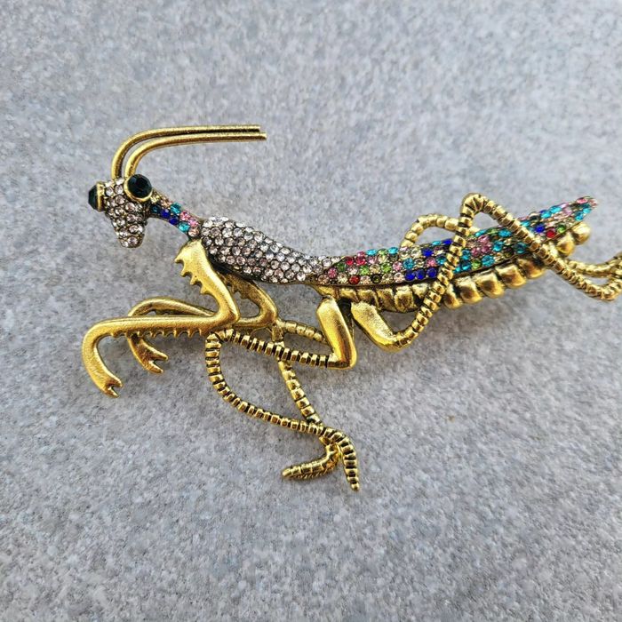 Duża broszka konik polny