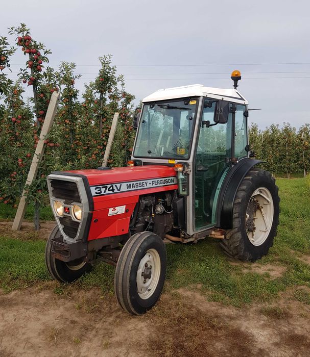 Ciągnik Sadowniczy Massey Ferguson 374V Sadownik