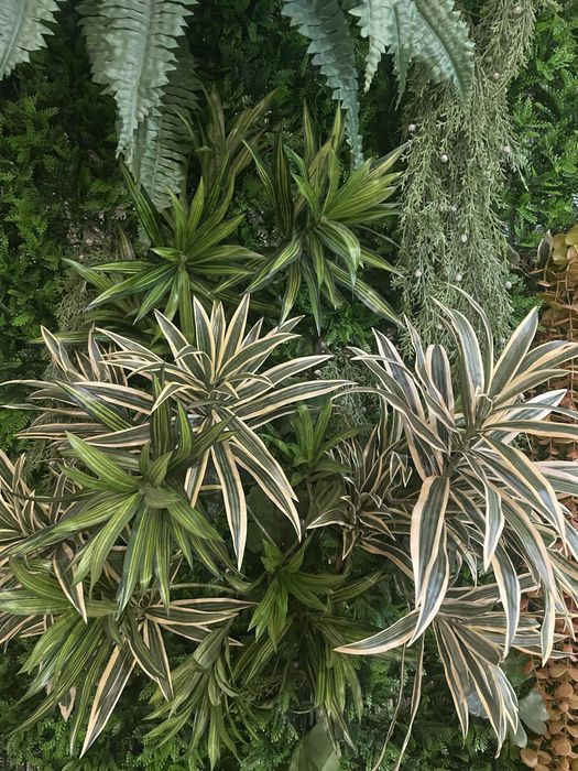 Jardim vertical enorme medidas nas fotos