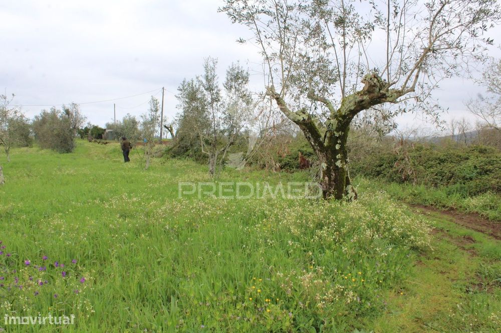 Rustic Land