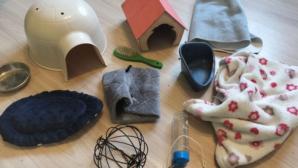 Akcesoria dla świnki morskiej kawia domek poidełko legowisko tunel