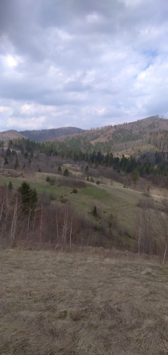 Продається земельна ділянка в селі Головське Львівської області