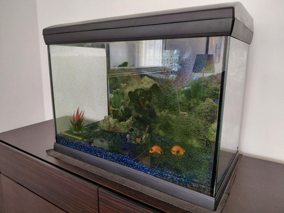 Aquário 60x30x45