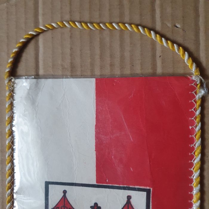 Proporczyk ZKS Pogoń Świebodzin (OK)