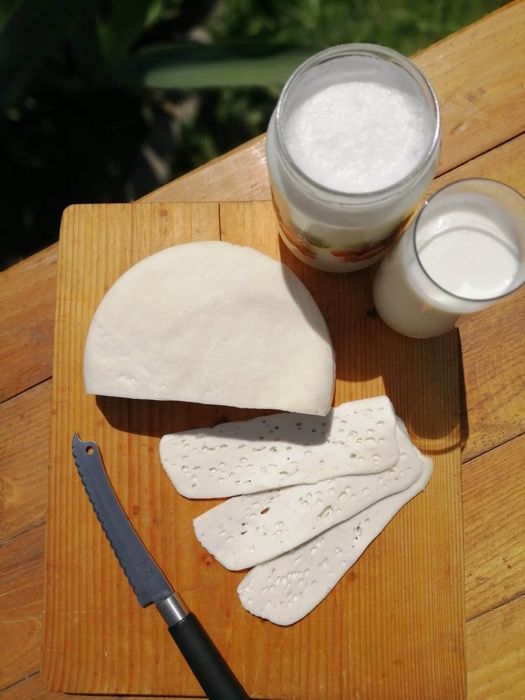 Домашня козяча бринза