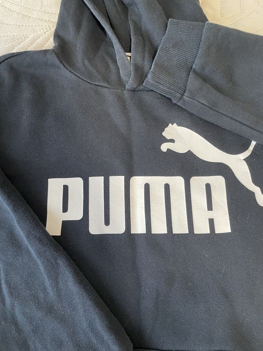 Bluza puma 13/14 lat