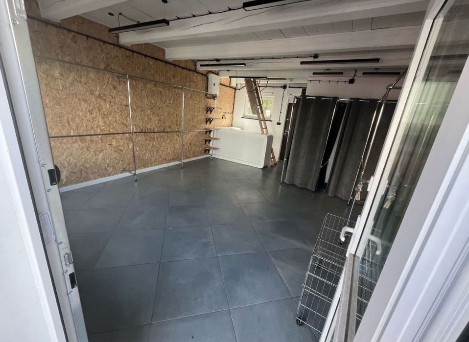 Lokal użytkowy 54m po generalnym remoncie