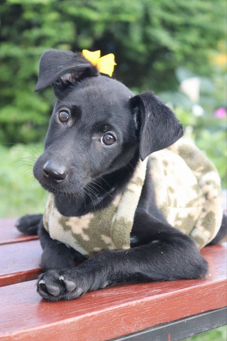 Ася мріє про родину