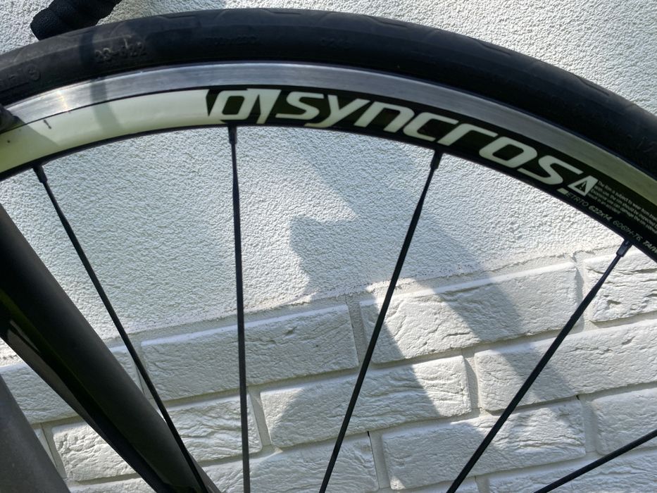 Specialized Allez Campagnolo 56cm. Rower szosowy