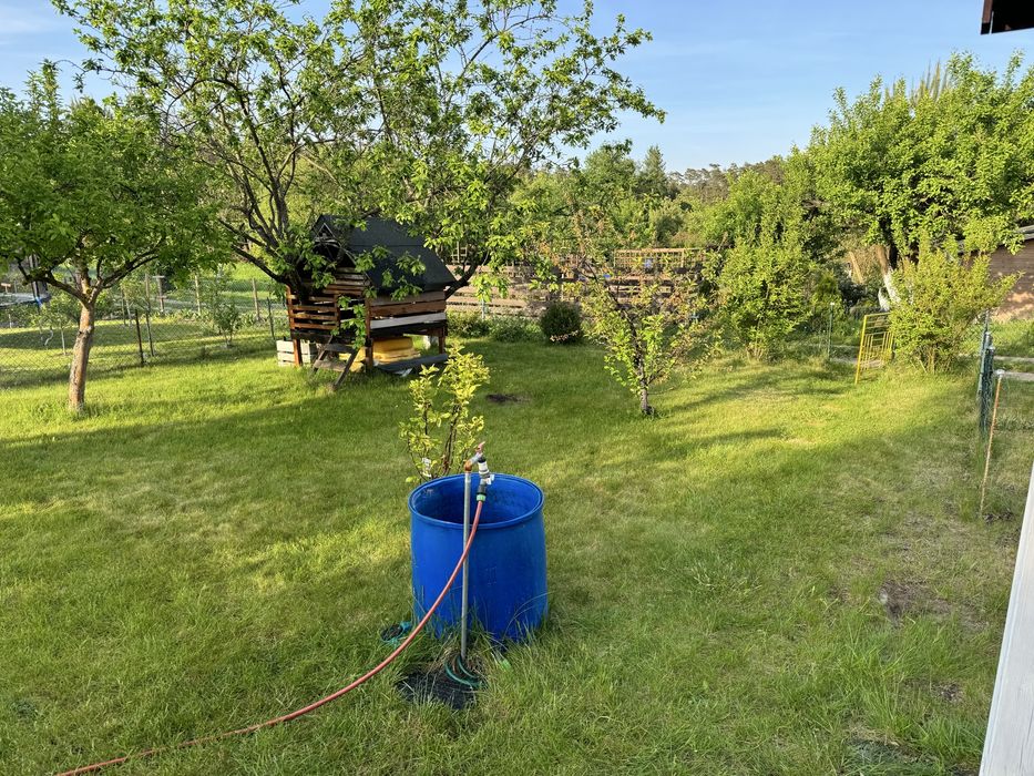 Działka ROD Leśne Oczko Nowy Kisielin