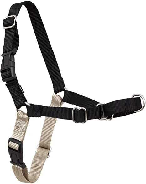 NOVO - Easy Walk, peitoral anti-puxão + tela - PetSafe