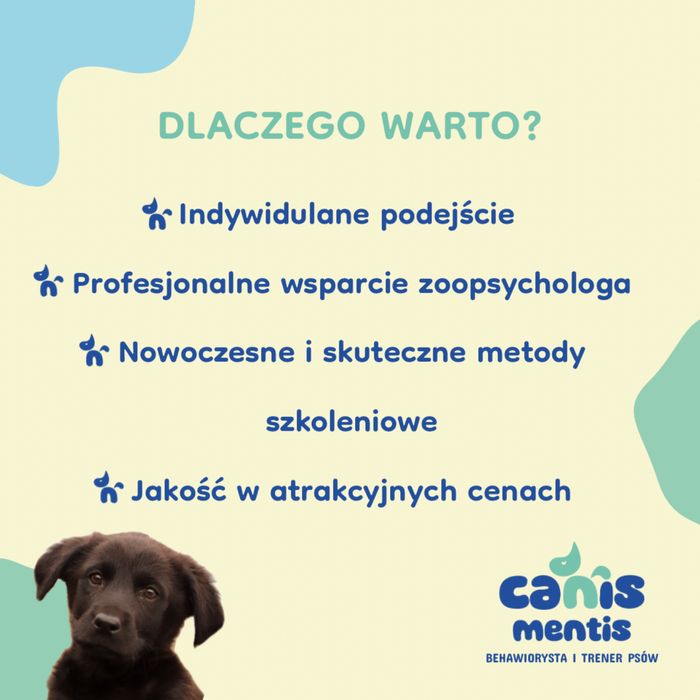 Behawiorysta - trener psów. Zapraszam na konsultacje behawioralne:)