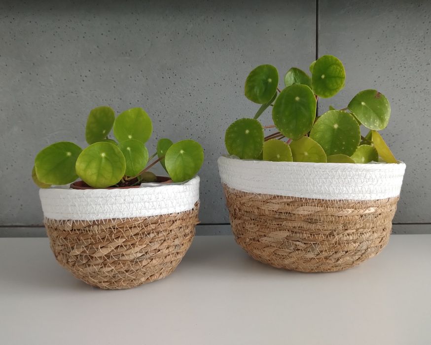 Doniczka wiklinowa -komplet