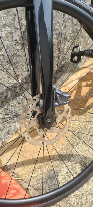 Coluer invicta disc