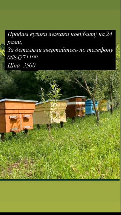 Вулики лежаки нові