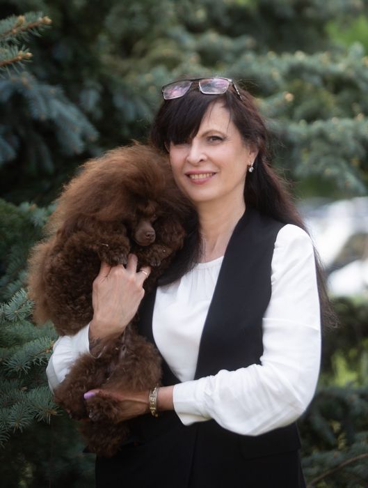 Той Пудель, КСУ, в'язка!