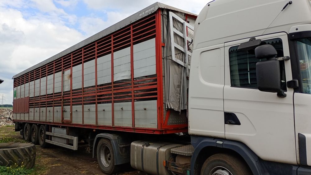 Naczepa do przewozu zwierząt , bydła, koni. Scania 420