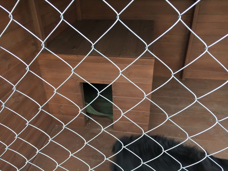 Вольєр для собаки