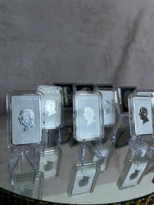 Австралійський дракон 2024-2025